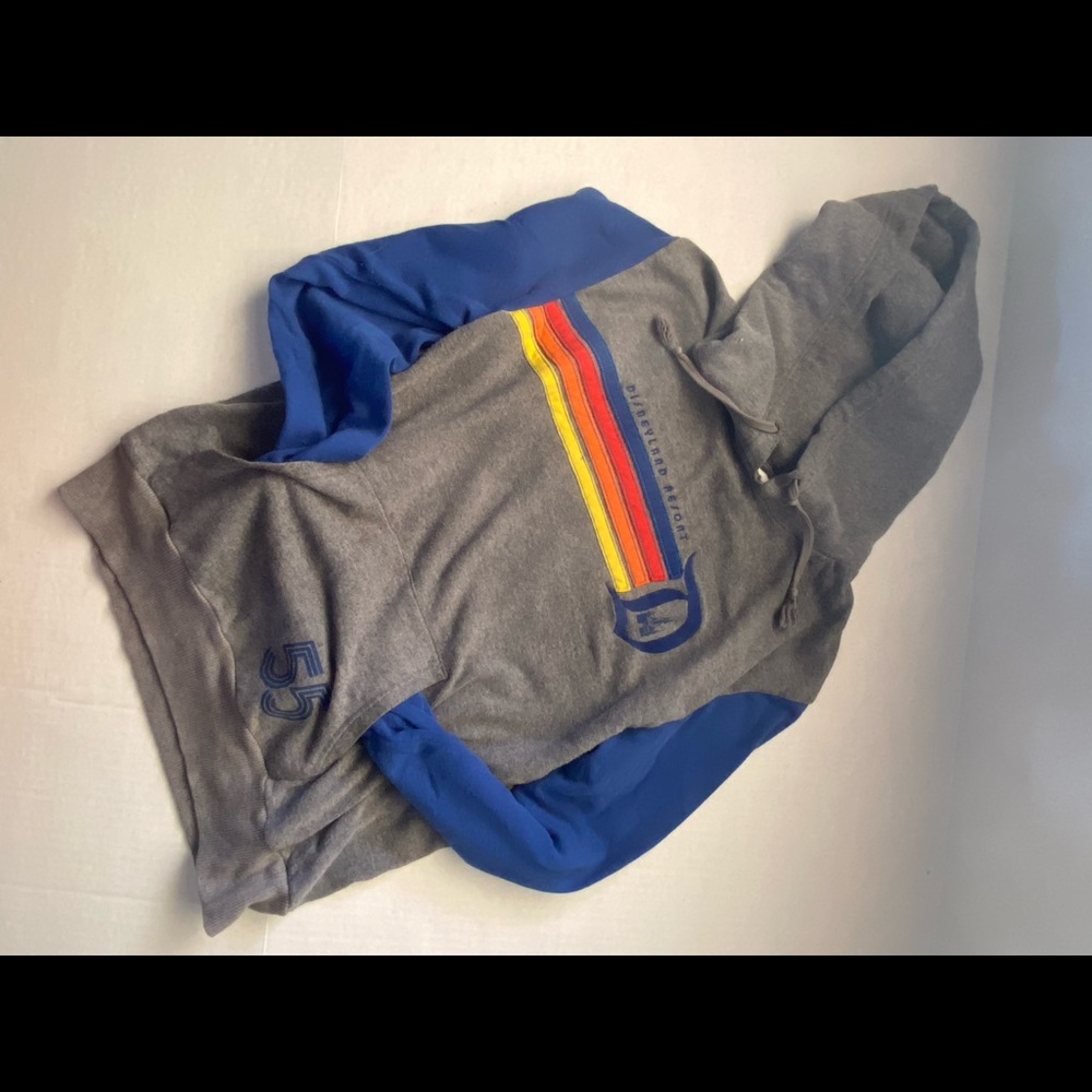 Retro Disneyland Sweatshirt